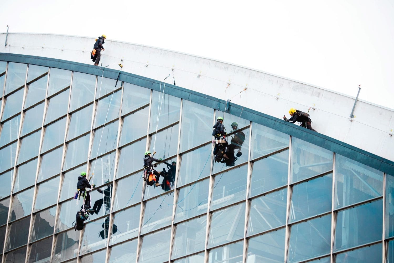 Greenpeace activists scale TotalEnergies building.